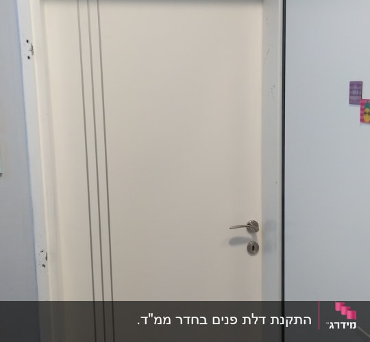 דלת לבנה עם ידית מתכת ופסים דקים